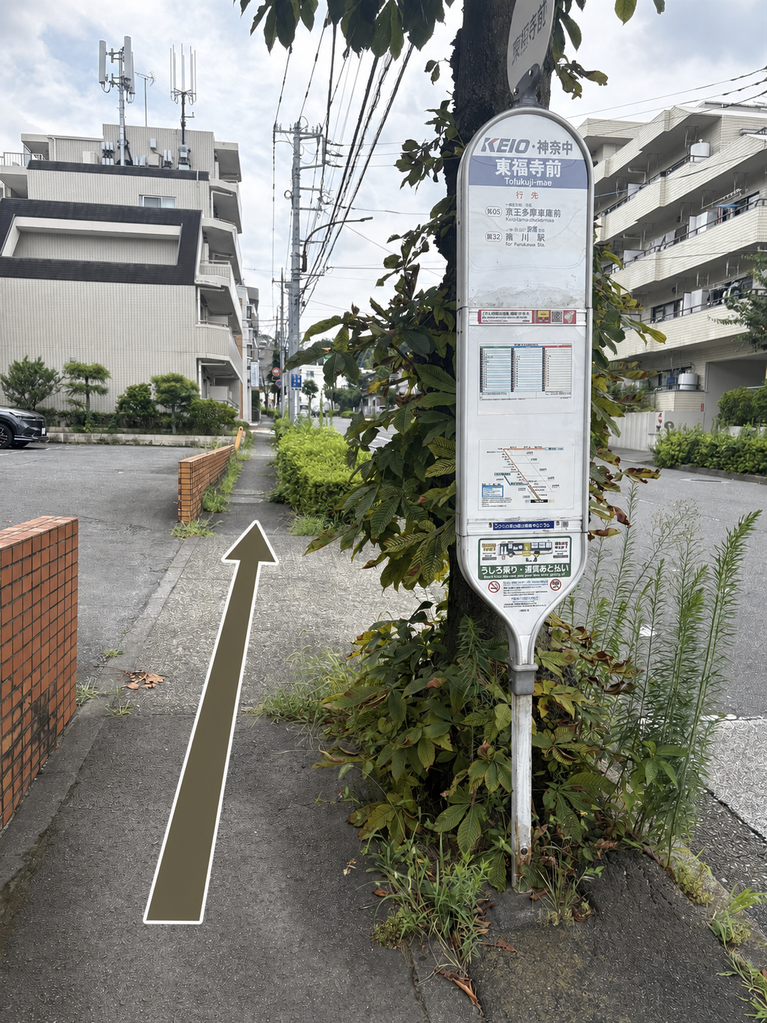 東福寺前バス停からFuiyuへ向かう方向